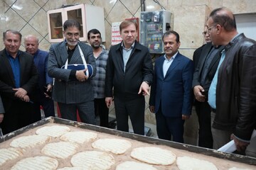 استاندار بوشهر: نانوایی‌ها به سوخت دوم مجهز شدند