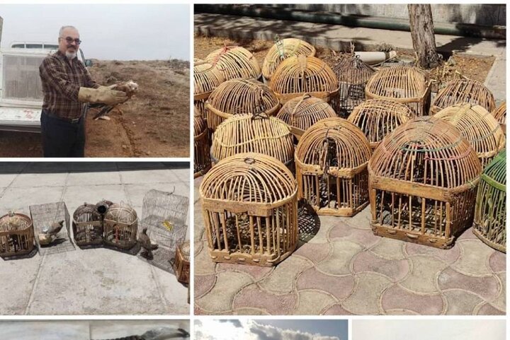 دستگیری ۴۷۰ متخلف زیست‌محیطی در کردستان؛کشف گسترده سلاح و ادوات شکار