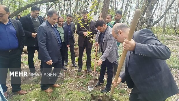 پویش پاکسازی و درختکاری در پارک جنگلی بندر کیاشهر برگزار شد