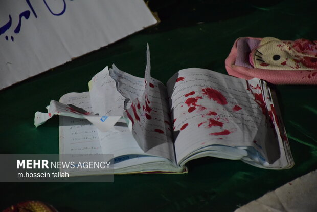 شکوه حضور در ایرانشهر