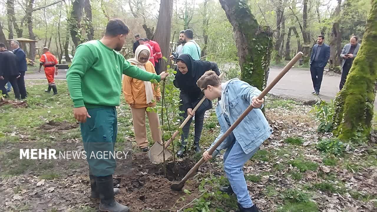 پویش پاکسازی و درختکاری در پارک جنگلی بندر کیاشهر برگزار شد
