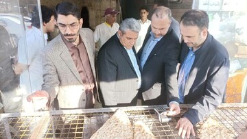نظارت میدانی بر نانوایی‌های بابل تشدید شد؛ پلمب ۲ نانوایی