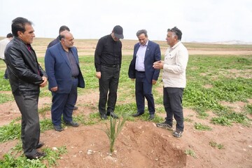 بزرگترین باغ نوین غرب کشور در اراضی مرزی استان کرمانشاه احداث می‌شود