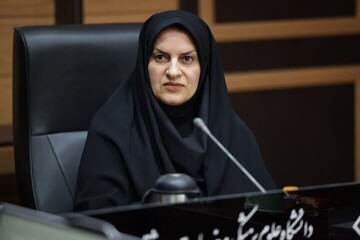 اکبری: نقش‌ مردم و نهادهای محلی در خدمت‌رسانی اجتماعی موثر است