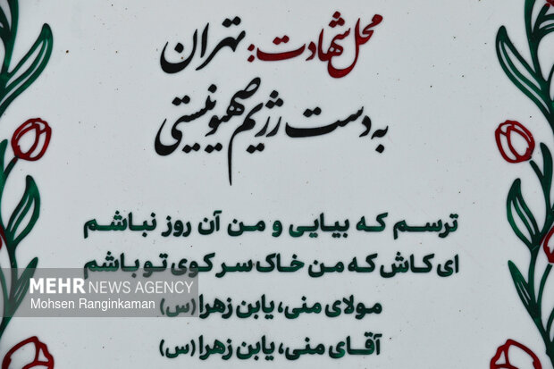 Martyring Iranians by criminal Israeli regime
