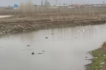 جبرائیلی: حیات به رودخانه قره سو بازگشت