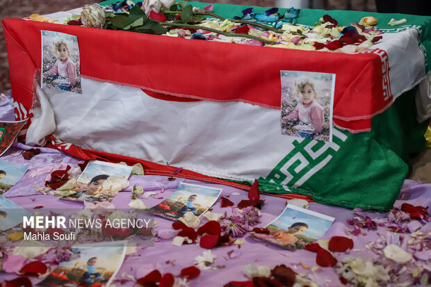 Erak kentinde şehit bebek anıldı