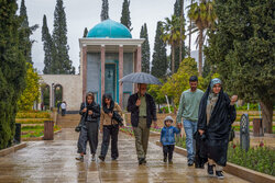 بارش باران بهاری در حافظیه و سعدیه شیراز