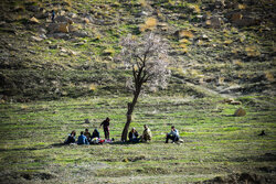 طبیعت زیبای اراک