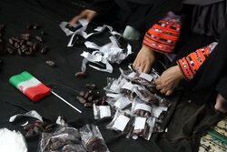 برگزاری پویش جمع آوری کمک های غیرنقدی توسط بانوان دلگانی