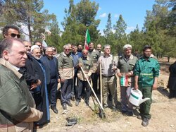صمیمیان: روستای علای سمنان پیشرو در اقدامات کنترل کربن است