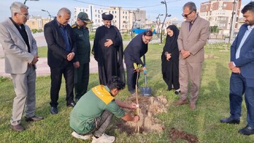 پویش کاشت «نهال امید» در گناوه اجرا شد