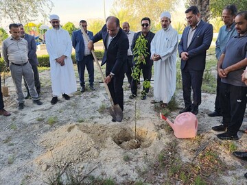 پویش کاشت نهال امید در عسلویه آغاز شد