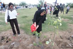 کاشت ۱۵۰۰ نهال در خراسان جنوبی؛ مشارکت گسترده مردم در پویش‌های مردمی