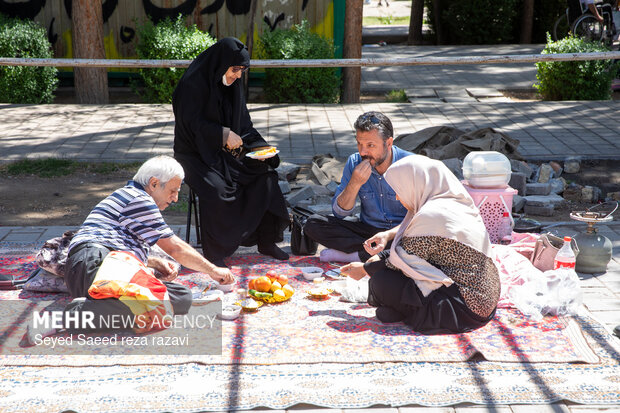 روز طبیعت در کاشان