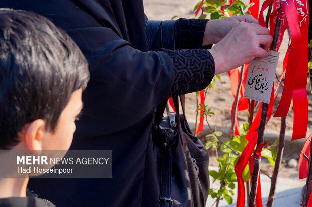 “Nature Day” observed at Martyrs’ Resting Place in Tehran
