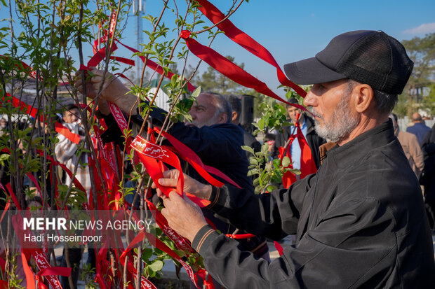 “Nature Day” observed at Martyrs’ Resting Place in Tehran
