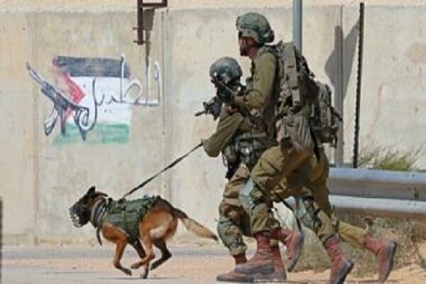 VIDEO: Israeli soldiers unleash a dog on a Palestinian man