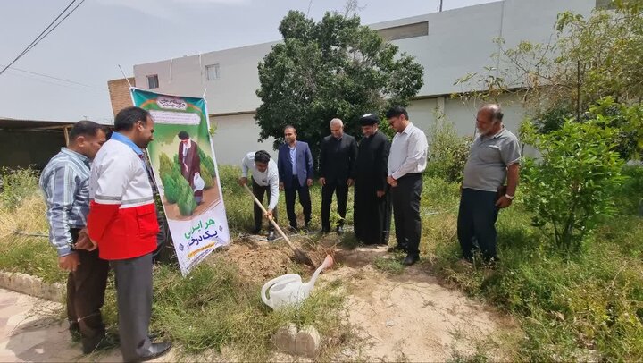 پویش ملی «هر نهال، یک شهید» در گناوه برگزار شد