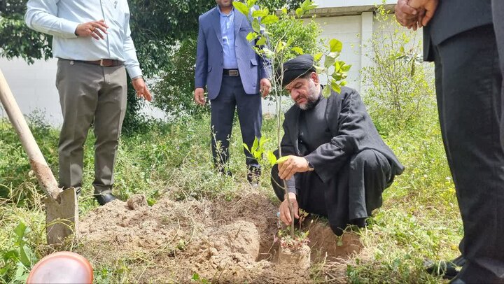 پویش ملی «هر نهال، یک شهید» در گناوه برگزار شد
