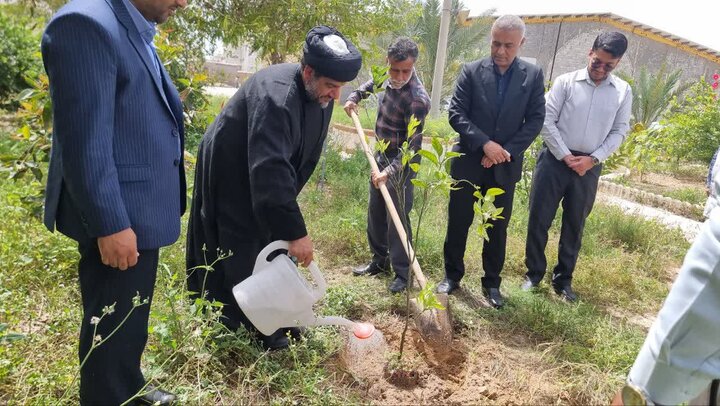 پویش ملی «هر نهال، یک شهید» در گناوه برگزار شد