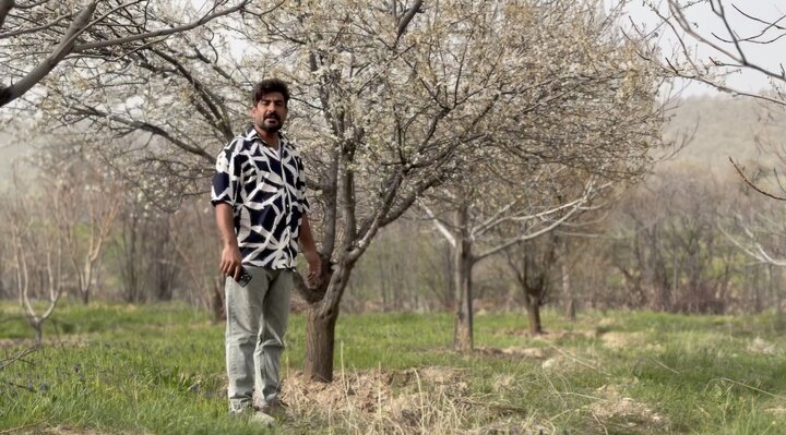 مژدگانی بازاریان کهگیلویه و بویراحمد برای دستگیری خلبان آمریکایی