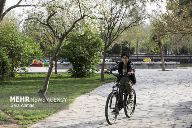 شکوفه های بهاری در مشهد
