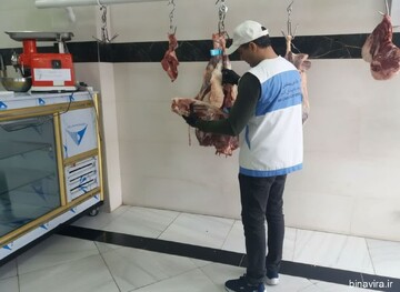 ۱۰.۵ تن فرآورده دامی غیربهداشتی در مازندران معدوم شد
