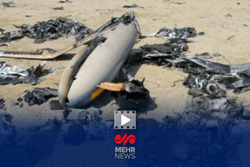 واکنش مردم نسبت به دیدن قطعات اسباب بازی آمریکایی