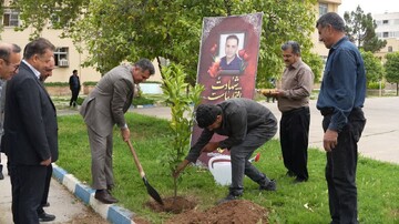 کاشت نهال یادبود «شهید محمدباقر محمدی»