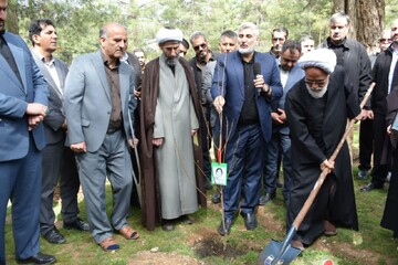 نام شهدا با کاشت ۳۰۰ نهال در کرمانشاه ماندگار شد