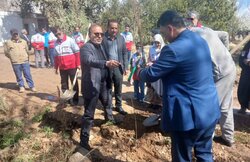 کاشت نهال بخشی از احیای چرخه سرزمین؛گونه مناسب اقلیم شاهرود انتخاب شود