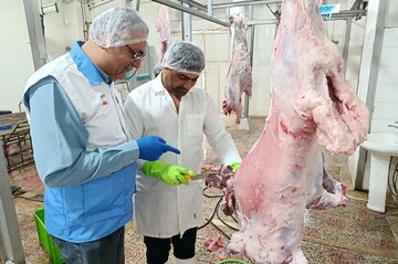 سرپرست دامپزشکی دشتستان: ۲۱ مرکز متخلف به تعزیرات حکومتی معرفی شد