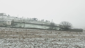 بارش برف بهاری در بخش کجور