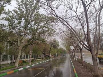 شاهرود در شب‌های بارانی؛ نگینی که با هر قطره جان می‌گیرد