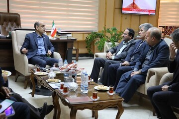 استاندار گیلان: فرهنگ کاشت درخت باید نهادینه شود