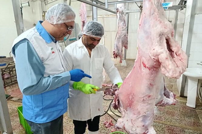 سرپرست دامپزشکی دشتستان: ۲۱ مرکز متخلف به تعزیرات حکومتی معرفی شد