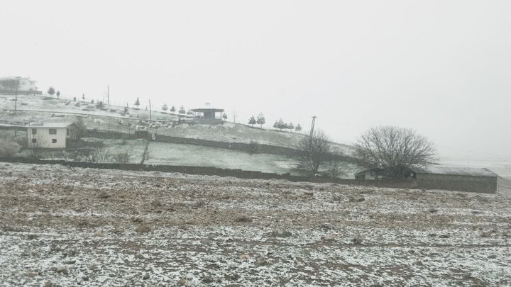 بارش برف بهاری در بخش کجور