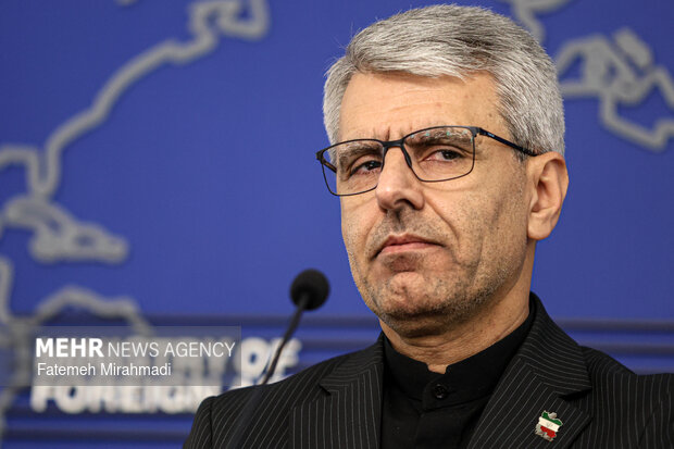 نشست خبری سخنگوی وزارت خارجه