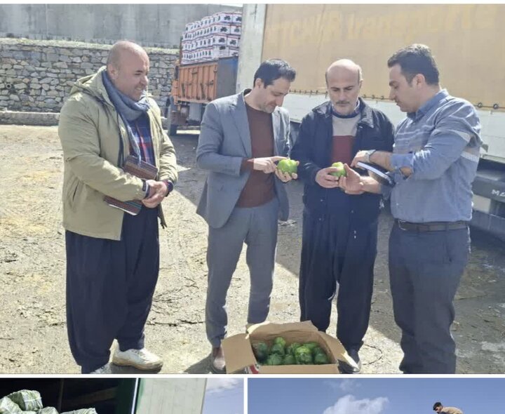 صادرات ۹۶ هزار تنی محصولات کشاورزی از مرز سیرانبند بانه