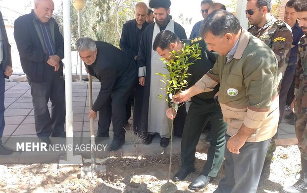 پویش «سرو ایران» در گرمسار؛ به یاد رهبر شهید نهال بکاریم