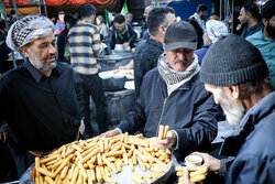موکب‌داران اربعین مهمان تجمعات مردمی تهران