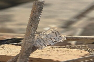 بيان الجالية اليهودية الإيرانية تدين الهجوم على كنيس رفيع نيا