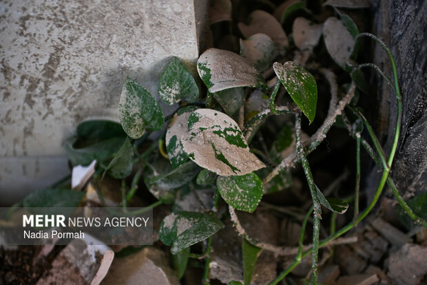 تجاوز آمریکایی - صهیونی به منازل مسکونی در البرز