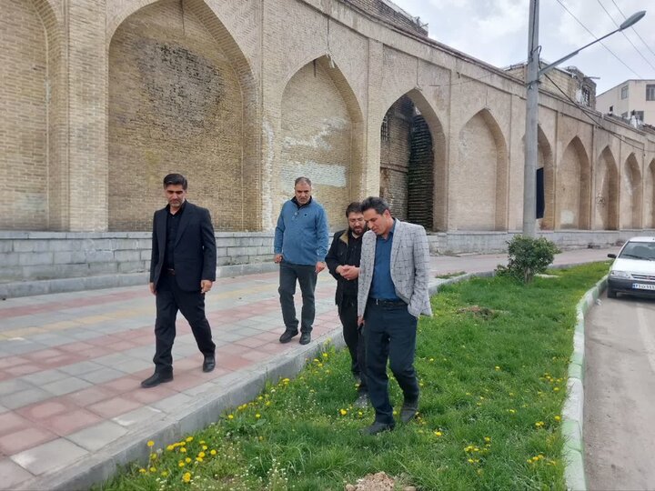 غرس ۲۰۰ نهال به یاد شهدا در شهرداری منطقه سه کرمانشاه