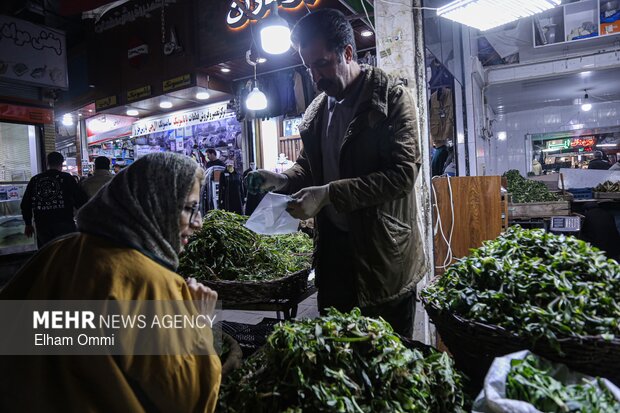 گیاهان بهاری سنندج