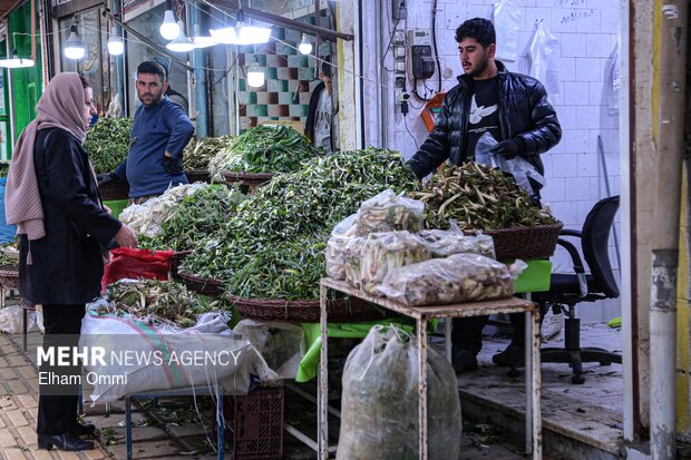 گیاهان بهاری سنندج