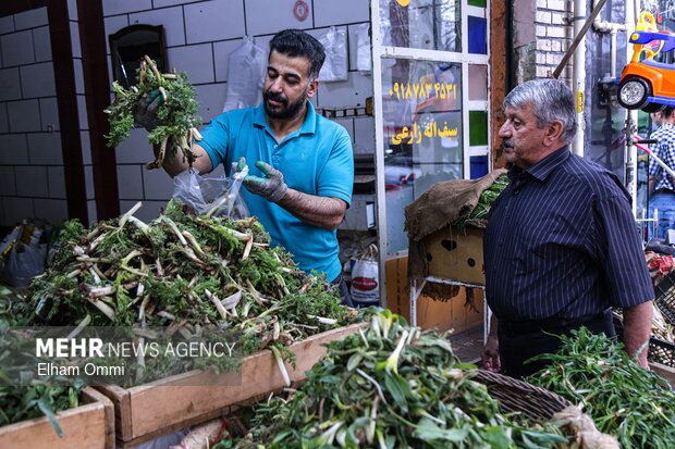 گیاهان بهاری سنندج