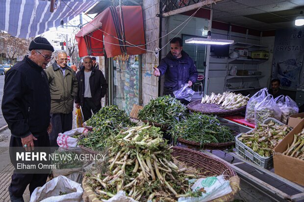 گیاهان بهاری سنندج