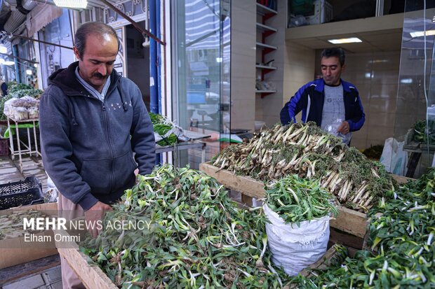 گیاهان بهاری سنندج